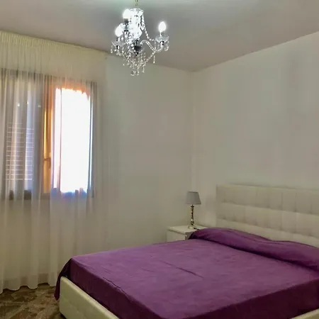 Palazz8
